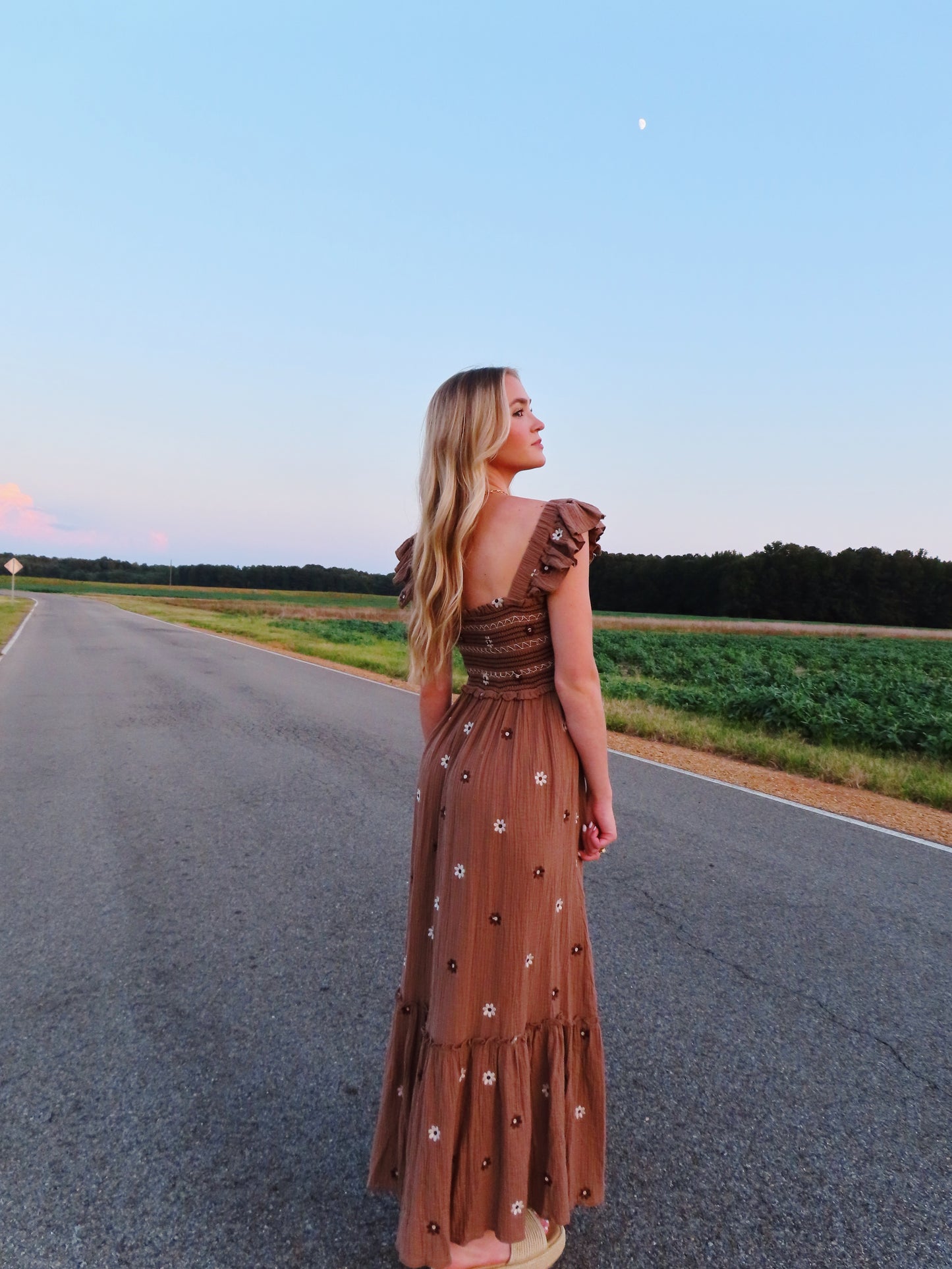 Dreaming Of Fall Embroidered Dress