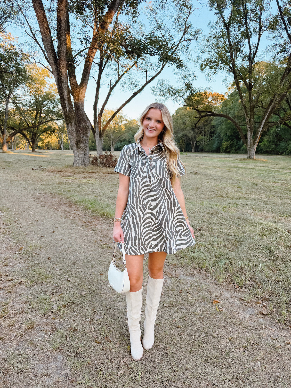 Zebra Print Mini Dress