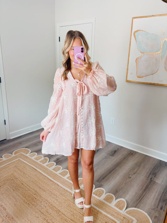 Pale Pink Embroidered Mini Dress