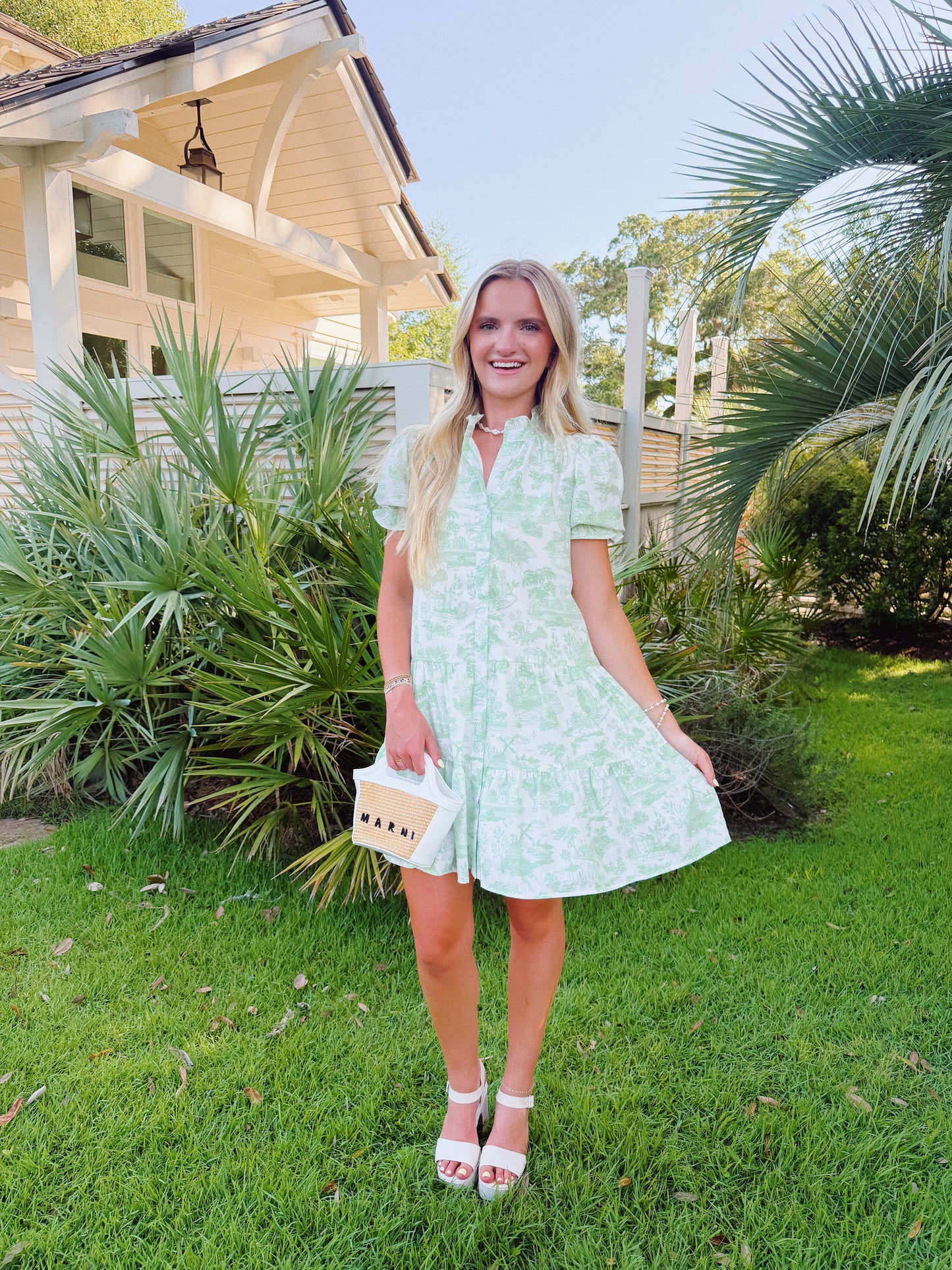 Green Toile Mini Dress