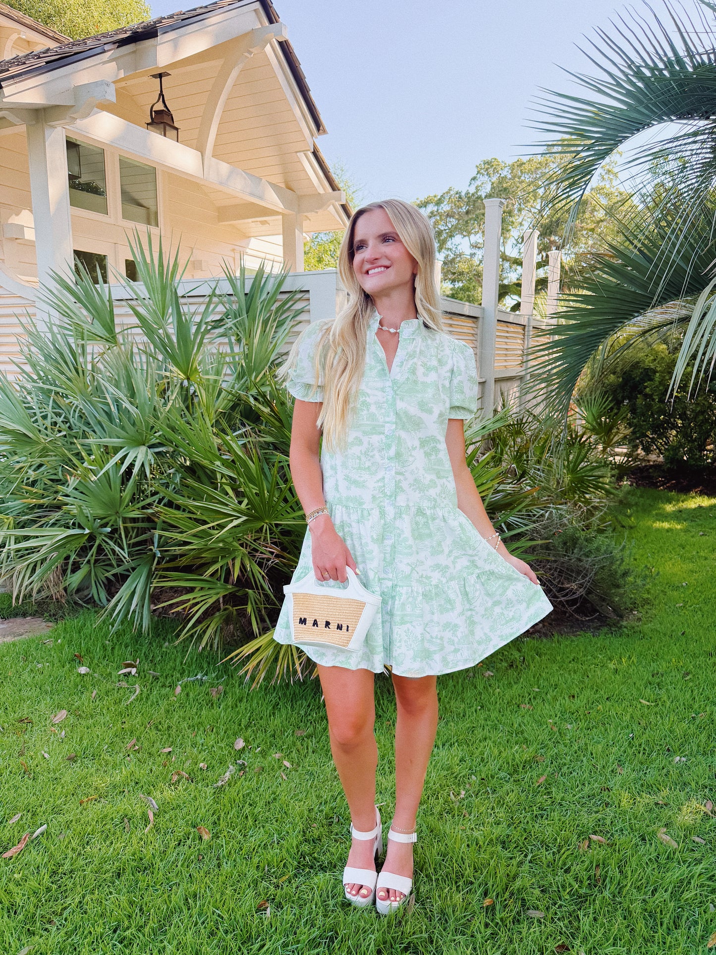 Green Toile Mini Dress
