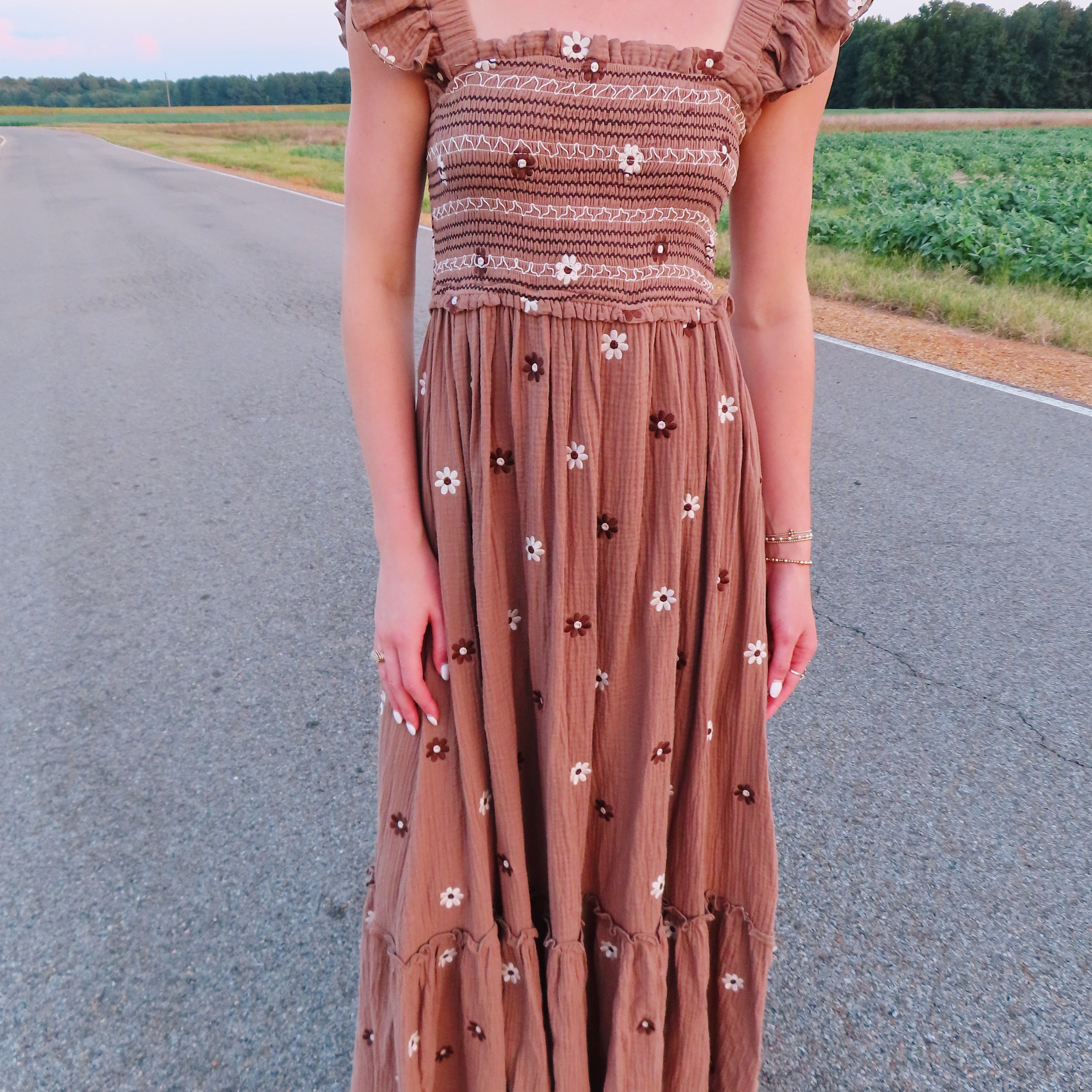 Dreaming Of Fall Embroidered Dress