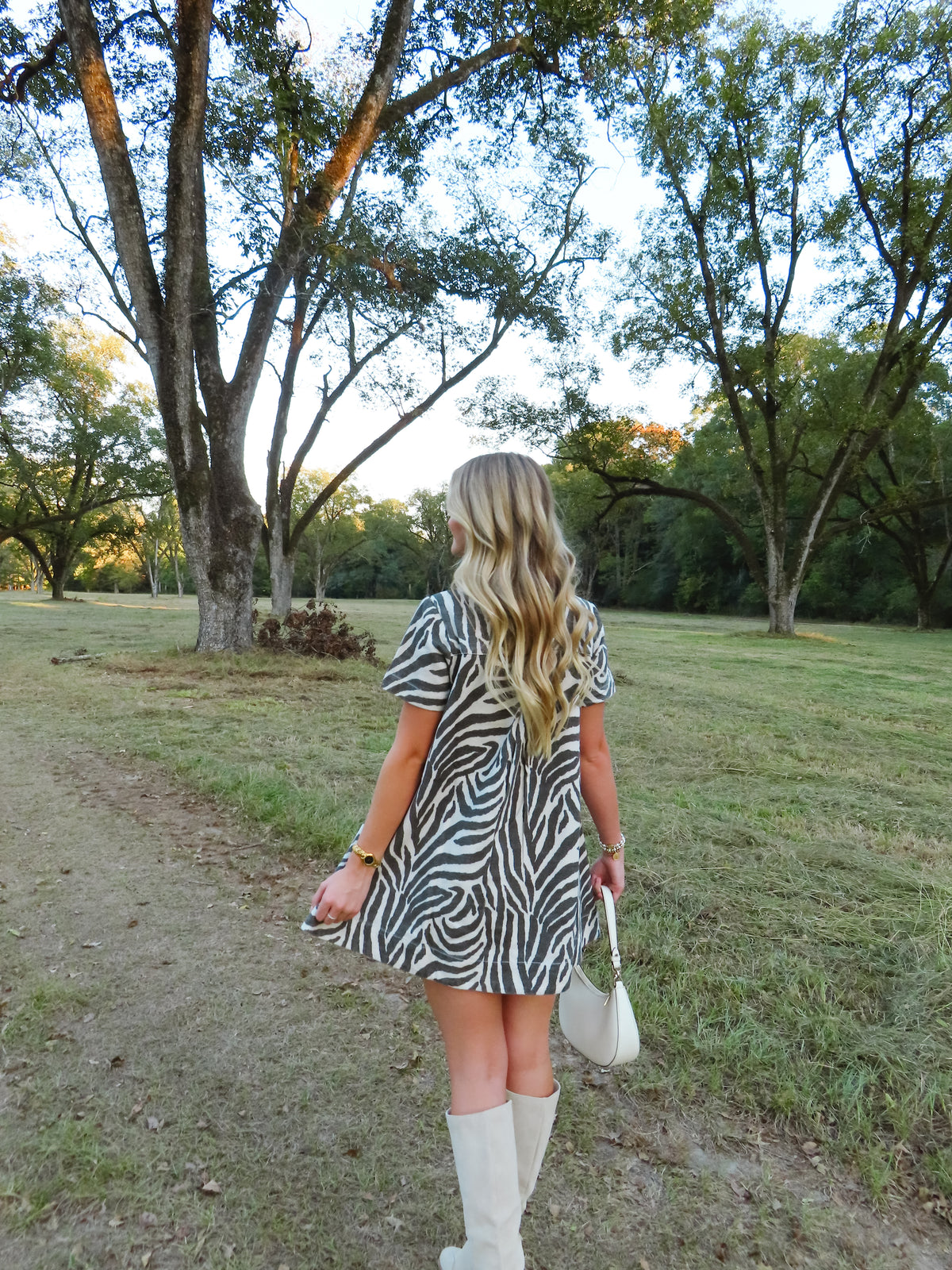 Zebra Print Mini Dress