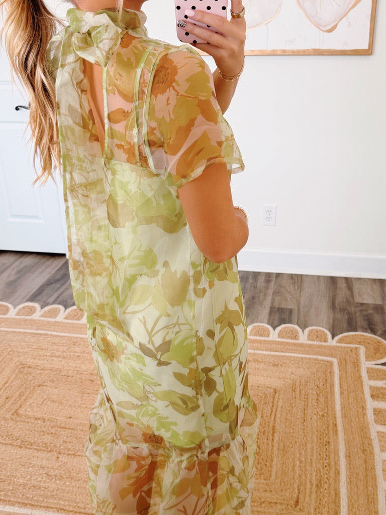 Dahlia Mesh Maxi Dress