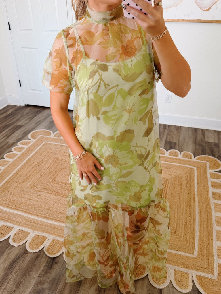 Dahlia Mesh Maxi Dress