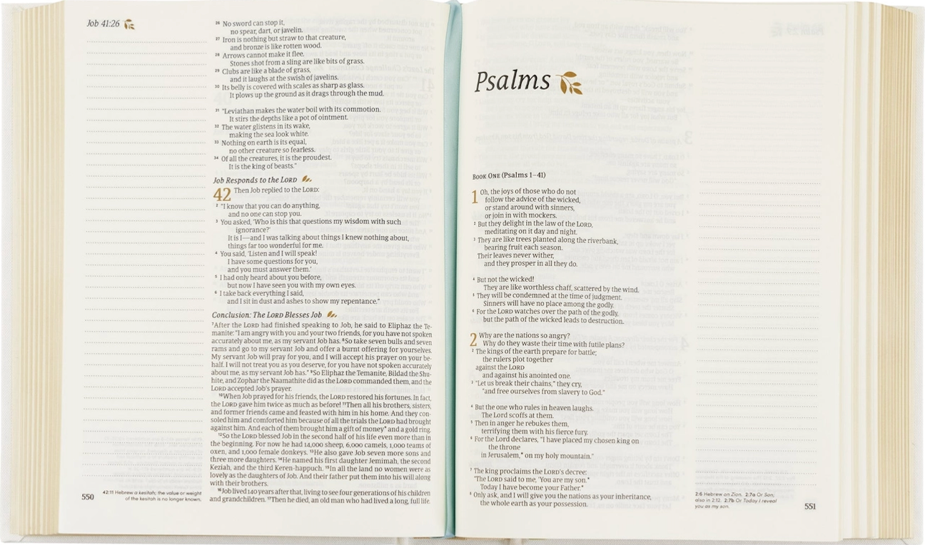 Sweet Grace NLT Notetaking Bible